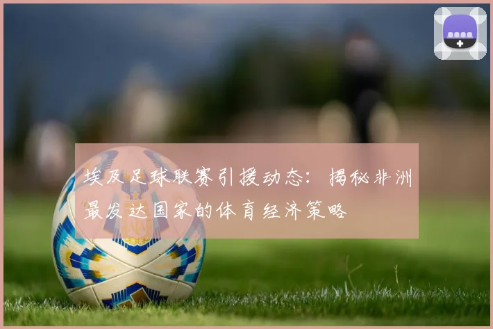 埃及足球联赛引援动态：揭秘非洲最发达国家的体育经济策略