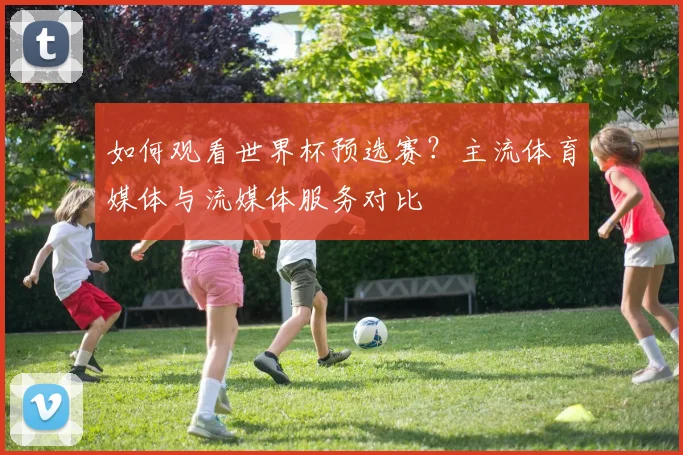 如何观看世界杯预选赛？主流体育媒体与流媒体服务对比