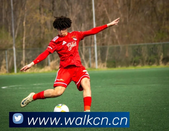 emc电竞平台入口平台生态图